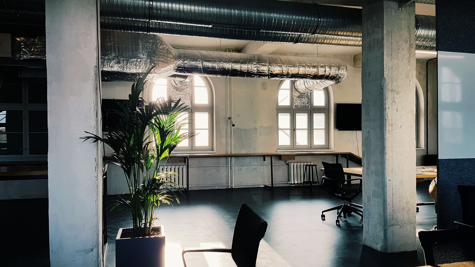 Open coworking floor with large windows and plants in a converted print works